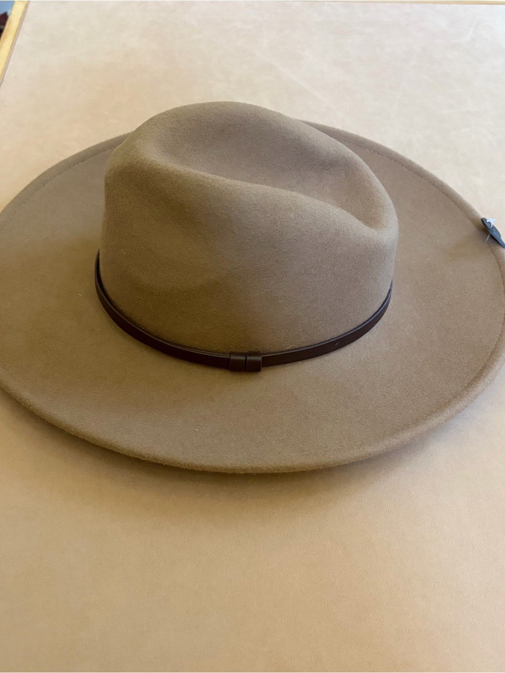 Banana Republic Factory Wool Fedora in Tan